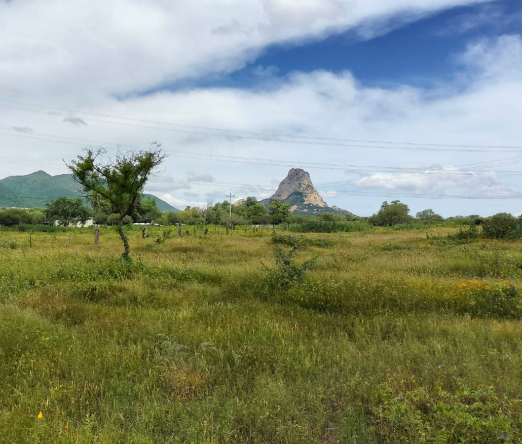Terrenos en Venta Peña de Bernal